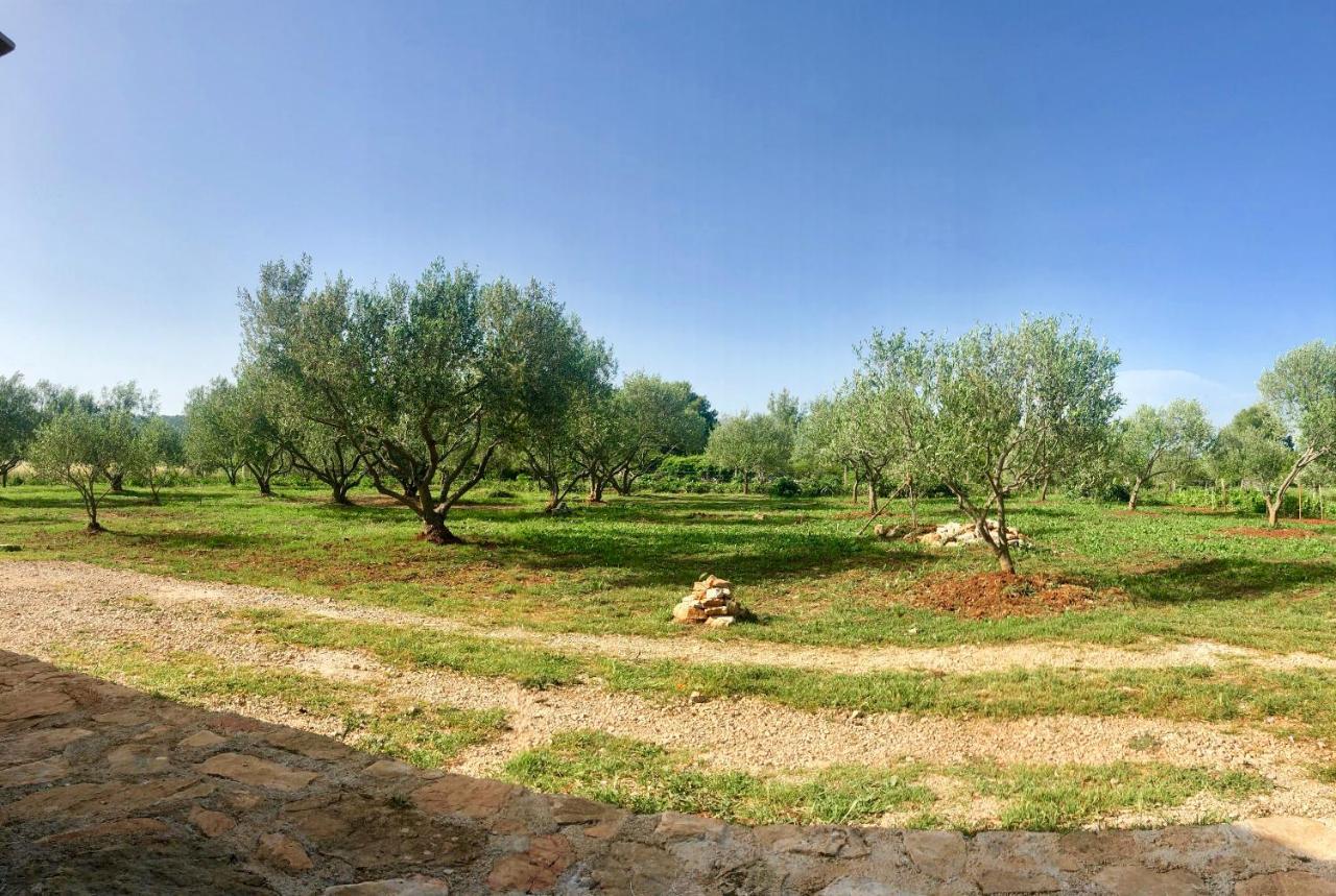 Cottage Rugonj ستاري غراد المظهر الخارجي الصورة