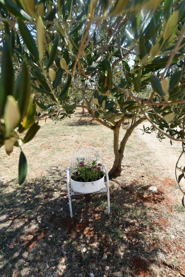 Cottage Rugonj ستاري غراد المظهر الخارجي الصورة